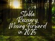 穩(wěn)健復蘇，2025向前行                                                                                                                                          